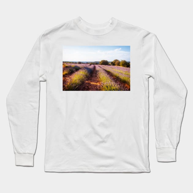 Campos de Lavanda al atardecer Long Sleeve T-Shirt by JJFarquitectos